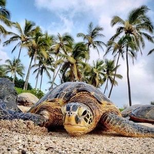 Meet your Posher, Carla